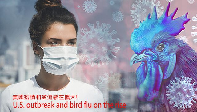 การระบาดของโรคในสหรัฐอเมริกาและไข้หวัดนกกำลังเพิ่มขึ้น